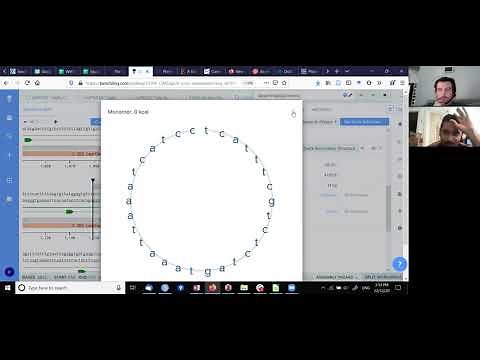 Primer design using Benchling and primer3 for qPCR