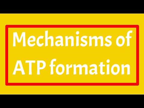 Mechanisms of ATP formation || Substrate Level Phosphorylation & oxidative phosphorylation |Examples