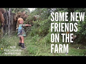 Some new additions to the farm - Off-grid living in Central Portugal - Our Portuguese Homestead