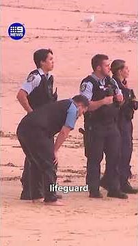 Surf Life Saving NSW beach-goers to stay out of dangerous swell | 9 News Australia