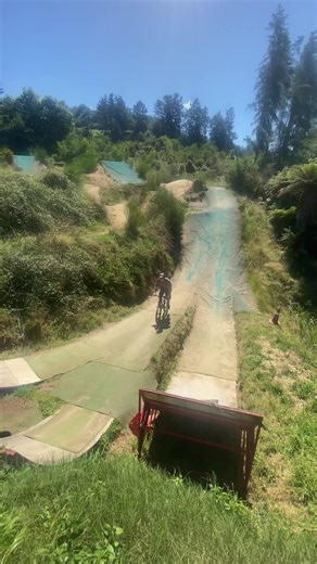 Benefits of Using Mulch in Small Gardens