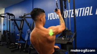 The ONLY 2 Exercises You Need For A Wide Back on Make a GIF
