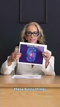 Mitochondria 101