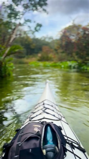 41 reactions · 6 comments | The Emerald Cut of Rock Springs Run is a section of the spring with crystal-clear blue waters and lush surroundings. The area is popular for kayaking and paddle boarding. Access is via Kings Landing, a commercial outfitter. You also have the option of paddling 7 miles downstream to where the run flows into the Wekiva River. #EmeraldCut #RockSpringsRun #Kingslanding #WekivaRiver | David S. Chen | Facebook