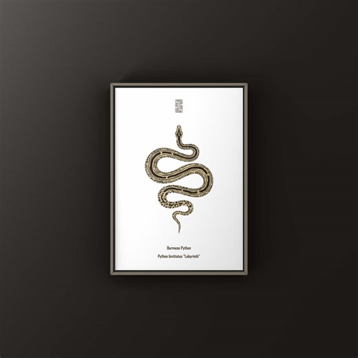 Illustration of the Labyrinth Burmese Python by The Morph Archive / Mingo Art #fyp #reptile #reptilesoftiktok #fypシ゚viral #burmesepython