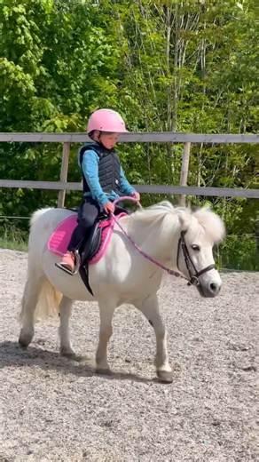 Animal life on Instagram: "Ella’s first riding lesson on her NEW pony🥹❤️ #shortsvideo #horse #equestrian"