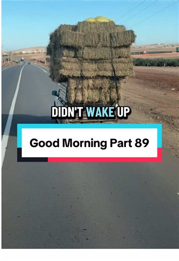 Good Morning Sunshine ☀️ #goodmorning #motivation #motivationalvideo #morningmotivation #goodmorningvideo