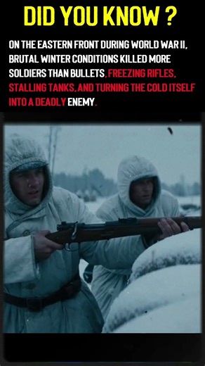 Frozen Front: When Winter Killed More Soldiers Than Bullets in WWII #ww2 #war #history #military