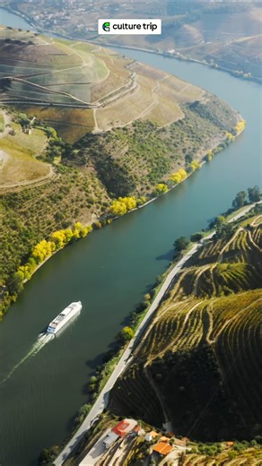 27K views · 61 reactions | Despite its boundless popularity, Portugal...