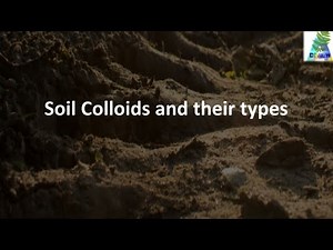 What is a Soil Colloid? Its properties and types.
