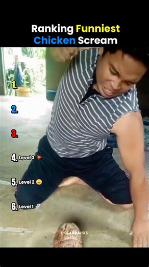 Ranking Funniest Chicken Scream 💀