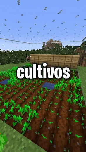 Consejos para acelerar el crecimiento de tus cultivos en Minecraft