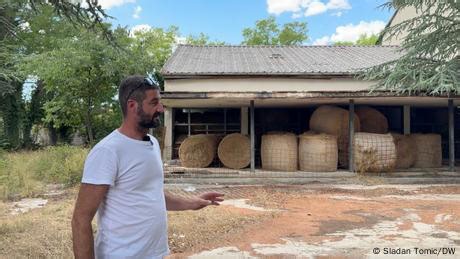 Serb returns to native Croatia, 30 years after 'Operation Storm'