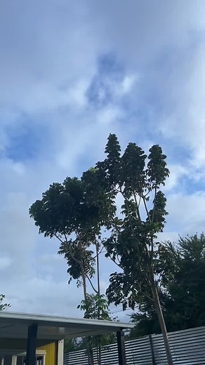 SEE YAH ON SATURDAY KABAYAN!! #fyp #fypage #foryou #foryoupage #fypシ゚viral #viral #prefab #prefabhouse #modernhouse #modern #trendy