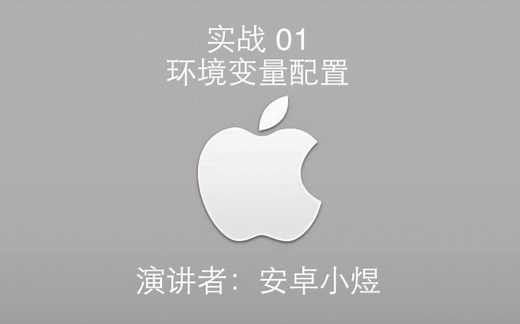 实战 01 环境变量配置