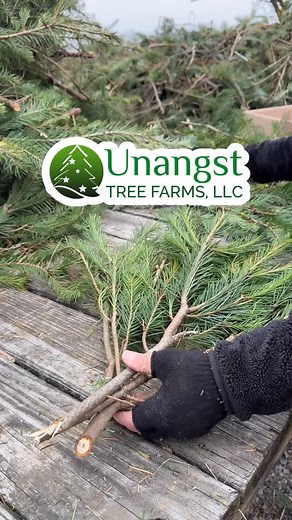 85 reactions · 23 shares | How do we spend the week before...