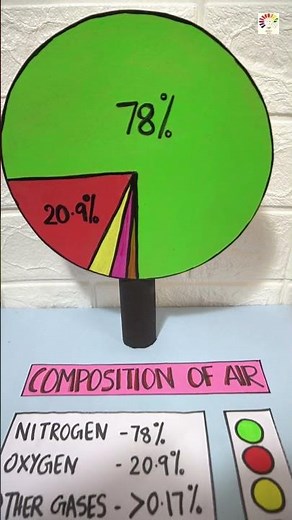 Composition Of Air Model | School project model | Science Project Model | Exhibition model school