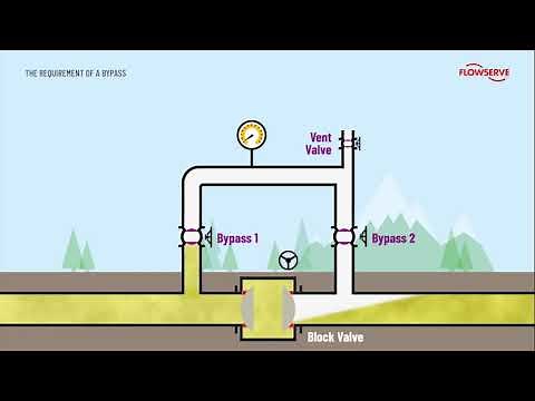 Valve Selection for a Gas Pipeline Block Station
