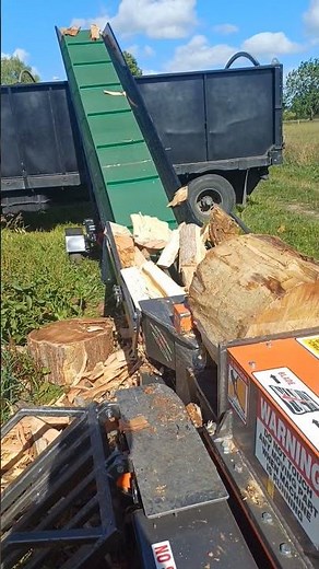 #arborist raptor wood splitter making splitting wood easy #chainsaw #woodsplitter