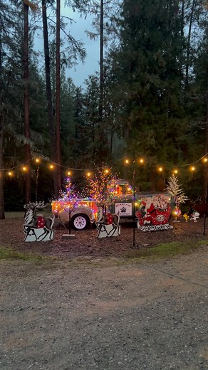 Open today Saturday 11-4 | Bear paw Carvings