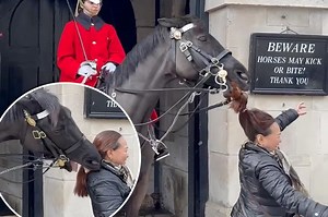 King's Guard horse headbutts, bites tourists that stand too close