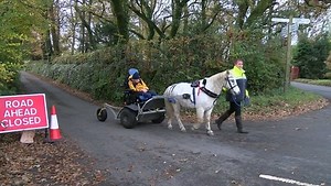 2.3K views · 77 reactions | Did you catch us on BBC Spotlight last...