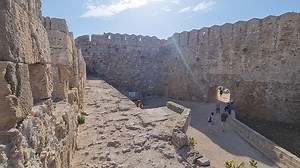 Top of Tranny Videos