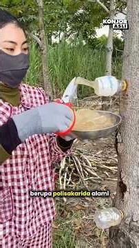 Pohon Ini Mengeluarkan Getah Seperti Jelly, Ternyata Bisa Jadi Dessert
