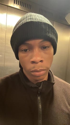 Understanding Dog Friendships: Mi & Big Dogs