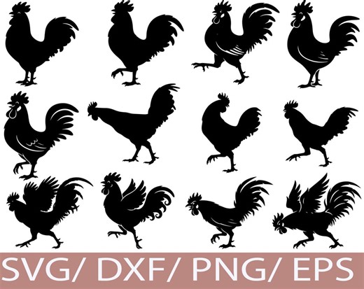 Rooster SVG, Chicken Silhouette Bundle, Farm Poultry Bird Rustic Icons - Etsy
