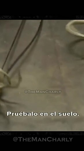 49K views · 2.9K reactions | Alien vs Depredador y su CGI | #alien #predator #cine #peliculas | The Man Charly | Facebook