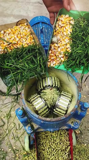 Pellet machine, feed pellet machine#chicken