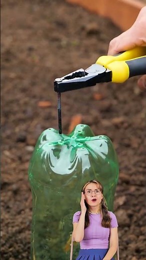 Garden Magic: Transform Your Backyard with These Fun Hacks! 🌼✨