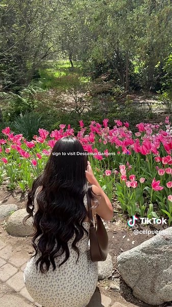 Explore the Beauty of Spring at Descanso Gardens