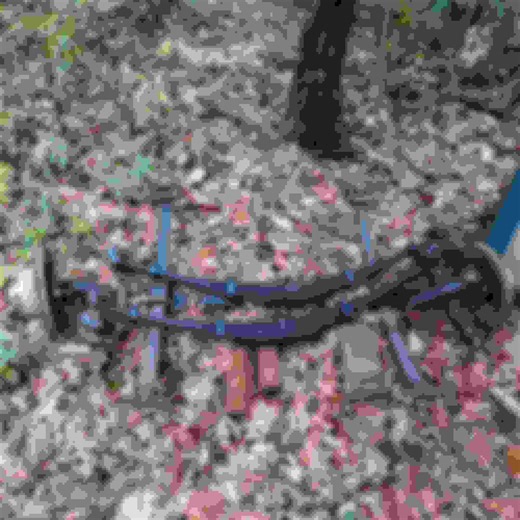 December 2025 Chat thread, All welcome! - Ford Truck Enthusiasts Forums