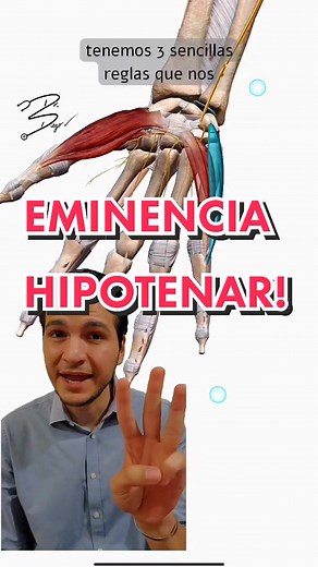 Músculos de la mano! No los olvides! #anatomia3d #medicina #aprendeentiktok #musculos