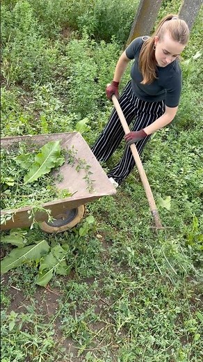 Country girl daily routine: Cleaning up the yard! 🌾🧹 #farming #farmlife #viral #agriculture