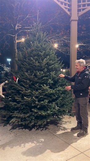 26 reactions | Fun fact- our Fraser Fir grower has had their tree in the White House several times! They have been growing our trees for over 20 years!! Get in here if you want a premium grade fresh cut Fraser Fir  not your big box store variety. . . #suncrestgardens #lovethelifeyougrow #stowohio #hudsonohio #peninsulaohio #shopsmallakron #akronohio #shopsmallcle #cuyahogafallsohio #bathohio #fairlawnohio | Suncrest Garden Center | Facebook