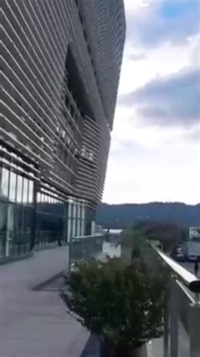 Videos de RCPadilla (@rcpadilla3195) con “sonido original - RCPadilla”