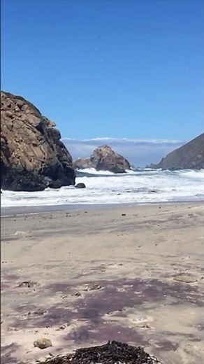 Exploring California’s Stunning Purple Beach 🌊 ✨
