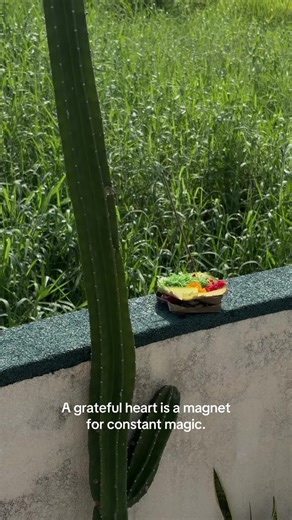 Jacky Zelwis (@jacky_z)’s videos with Heat Signature - Slowed - Raster Dust