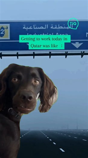 10K views · 39 reactions | Finding the roads through the fog  How was your experience today? #meme #funny #funnymeme #qatarmeme #ThisisQatar #TIQ #QatarEvents #Doha #Qatar | This is Qatar | Facebook