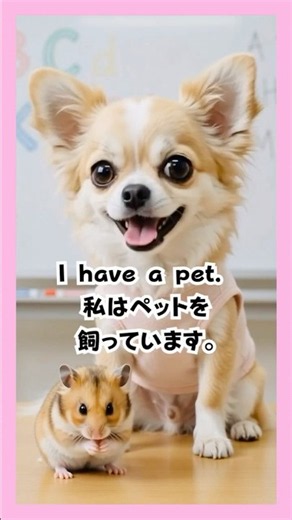 コツコツチャレンジ｜1分ちょいで英検単語
