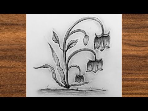 Simple Black and White Flower Drawing with Pencil