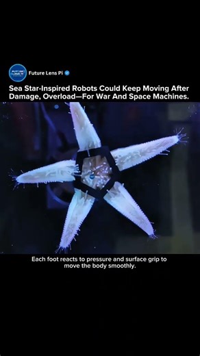 Robots That Move Without a Brain? Sea Star Locomotion Is Changing Robotics Forever #robot #shorts