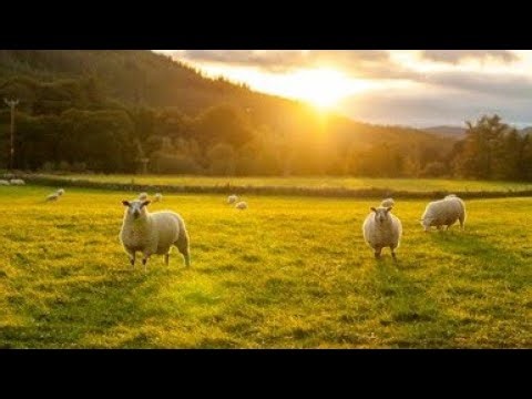 Life in Rural England/Uk Cotswolds Life/Fairytale Village in Lancashire/Village Vloge/Morning Walk..