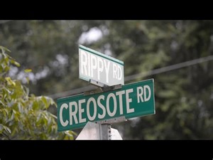 'A special place.' Meet the residents of Turkey Creek, historic Black community in Gulfport
