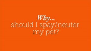 5.7K views · 147 reactions | Fact or Fiction? We’re busting common...