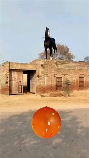 Engaging Dance Challenge with AI Elements