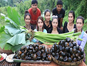 Cook Boiled snails with green plant and rice recipe | Primitive TV